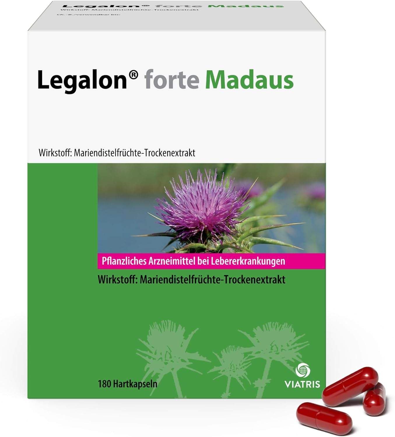 Die besten Kräuter zur Leberentgiftung